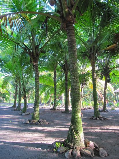 so schön schauts aus (nach dem Raking)