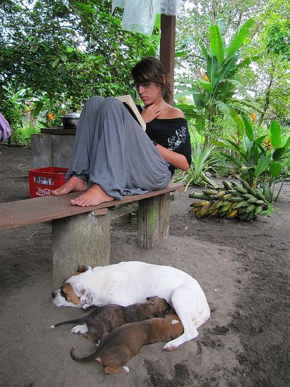 Lesestunde mit Familienanhang hinter der Küche