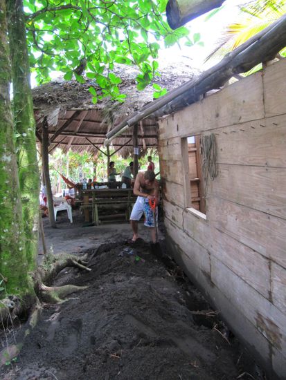 Andi gräbt die alte Bibliothek aus