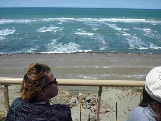 Da unten liegen sie auch