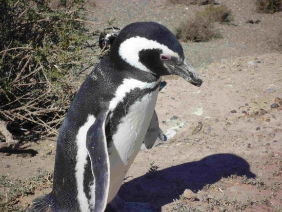 Bin ich nicht süß!!!