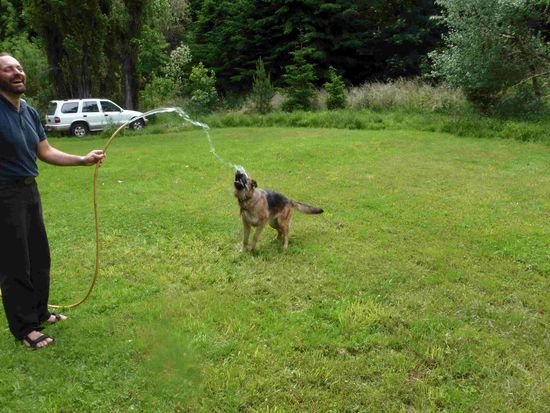 Arno und Alaska beim Wing waschen