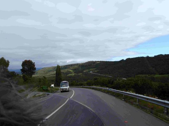 Die Insel ist wunderschön grün