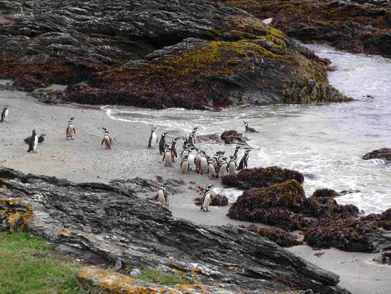 Was ich alles tu für diese süßen Scheißerchen