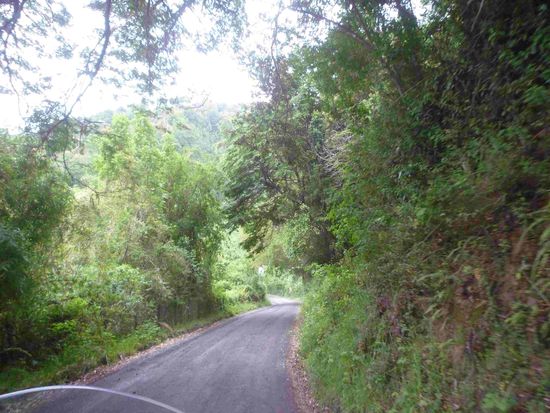 Die Natur ist so schön und aufgrund des Regens so satt grün