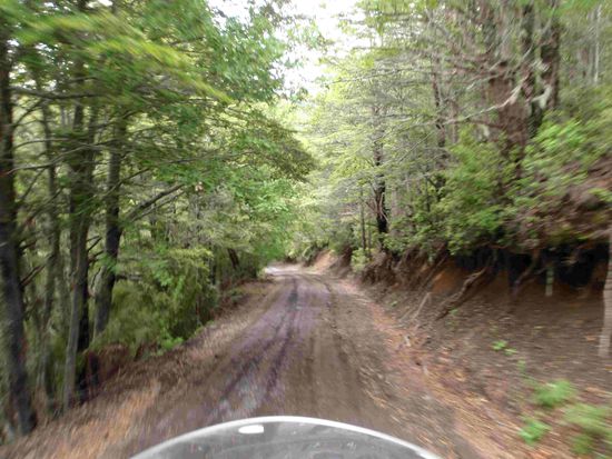 Über Stock und über Stein