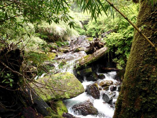 Die Natur ist einfach wunderbar