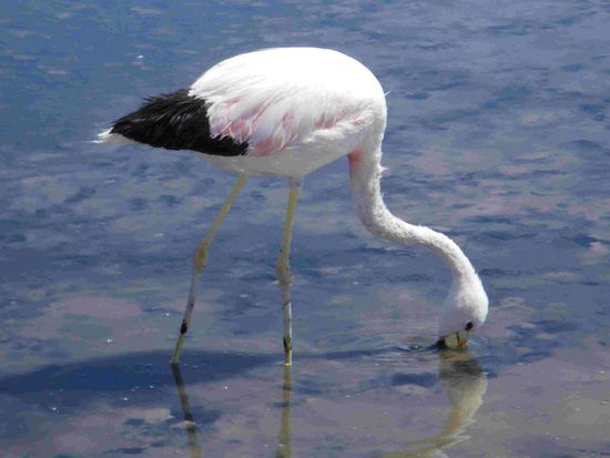 Ich bin ja so hungrig