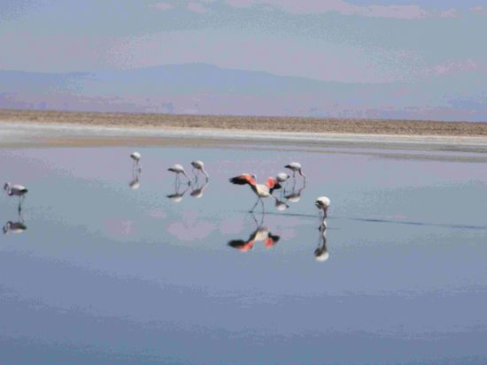 Schaut euch die Farben an