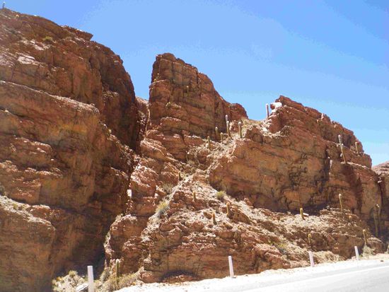 Bitte die Kakteen beachten