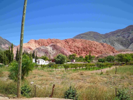 ......in den verschiedensten Farben