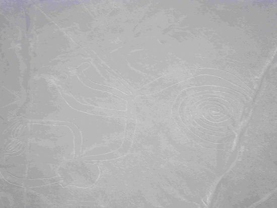 Die Geoglyphen von Nasca - der Affe