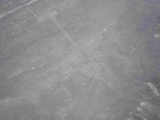 Könnt ihr den Adler erkennen