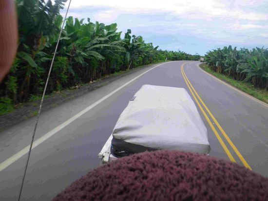 On the Road zwischen Bananenplantagen