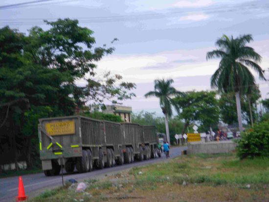 So wird hier Zuckerrohr transportiert - 1 Zugmaschine und 4 Hänger