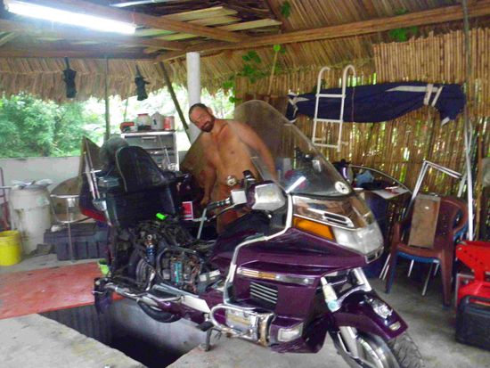 Unsere "Süße" braucht etwas Sonderpflege