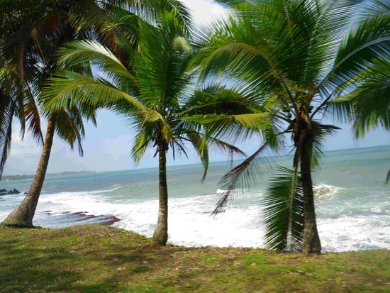 Panama Umgebung Porto Lindo