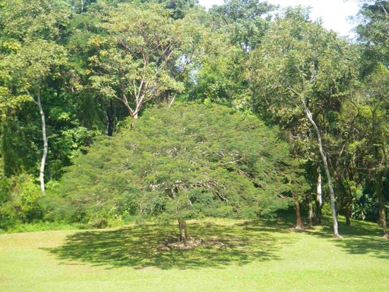 Auch die Anlage ist sehr gepflegt