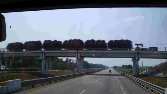 Transport auf mexikanisch