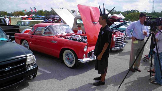 Nicht nur manche Autos sind verrückt 