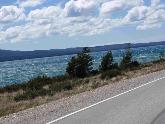 Die Baeume wiegen sich im Wind nach der Dusche