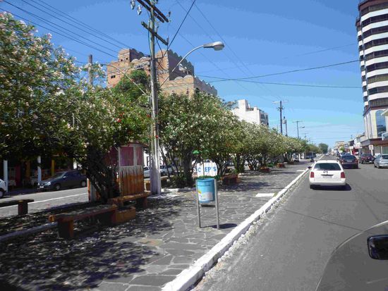 Hier wollte ich euch die schoene Oleanderallee senden