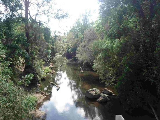Spaziergang am Fluss