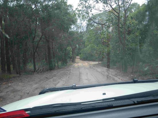 Auf tiefem Sand im NP