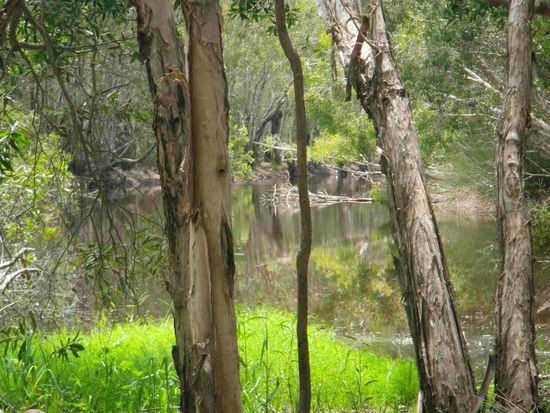 In den Mangroven des NP