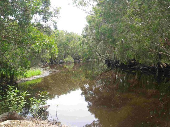 Es ist wunderschön hier