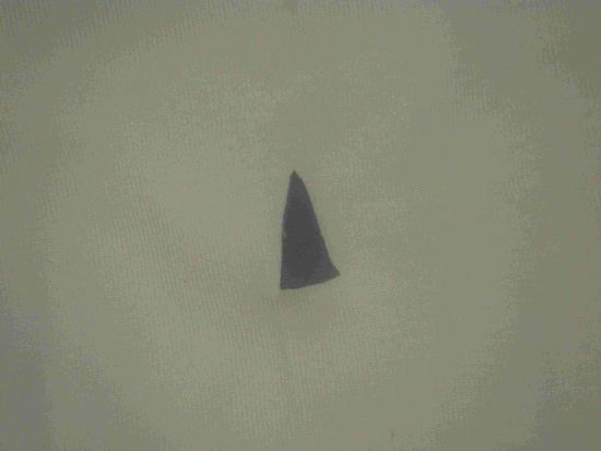 Der Übeltäter in unserem Hinterreifen 