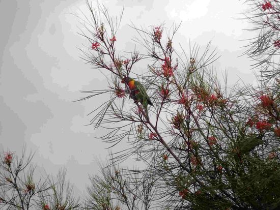 Im Garten unserer Gastgeber