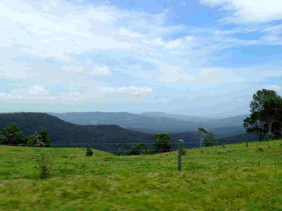 Es ist so schön grün hier