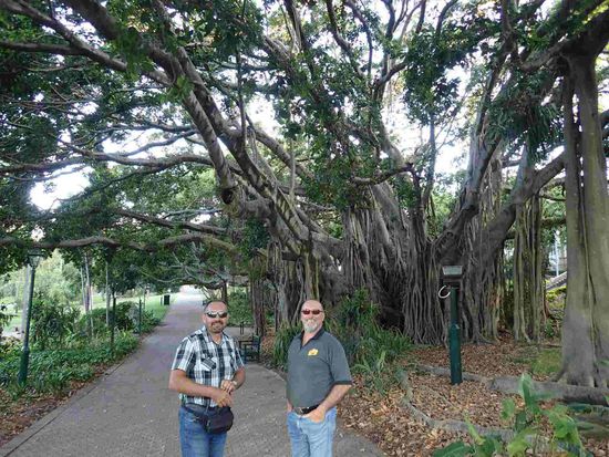 Arno und Seth im Botanischen Garten