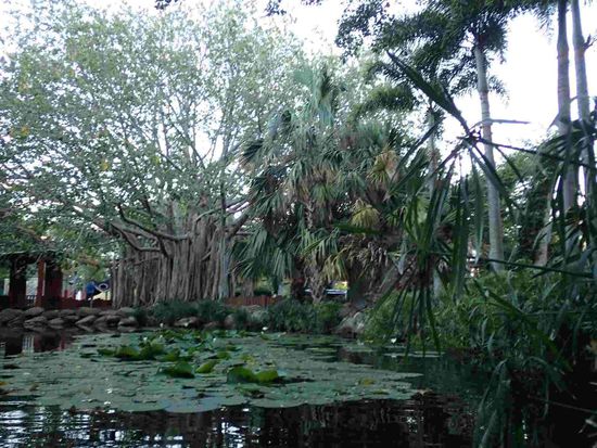 Im Botanischen Garten