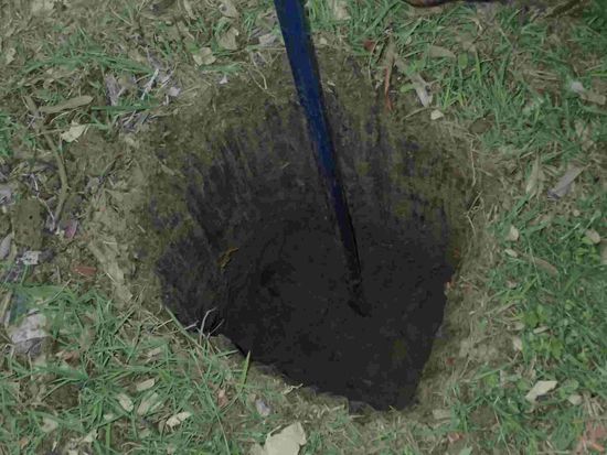 Seth buttelt sein Loch 