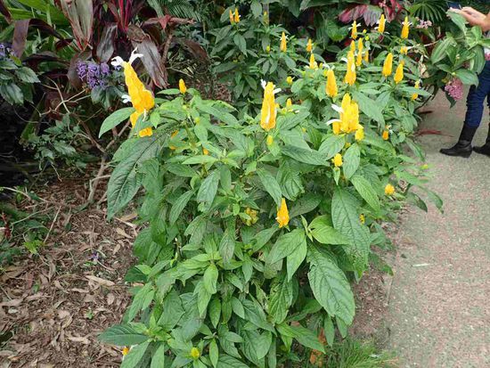 Ausflug in den Tropischen Garten am Sonntag