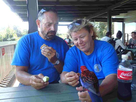Der Kuchen schmeckt besser als der Apfel 
