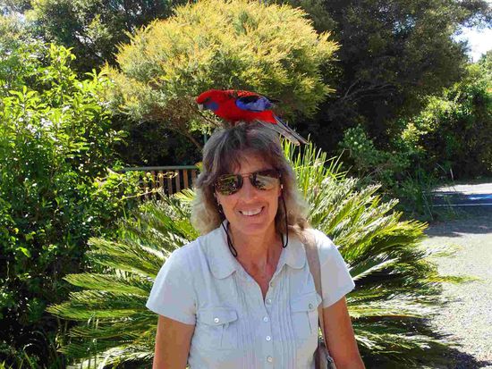 Die Tiere sind extrem zutraulich hier