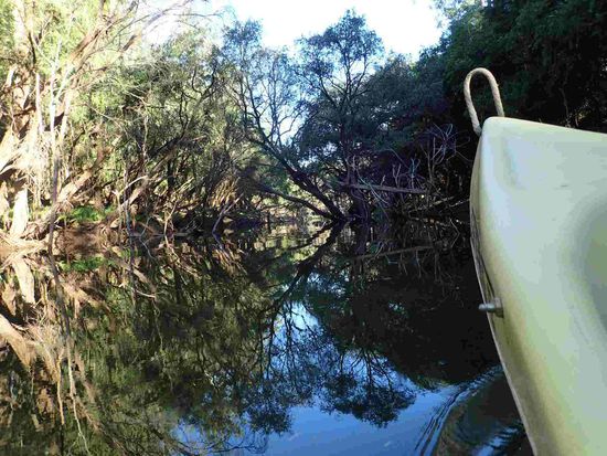 Ich hätt noch so viele dieser Bilder