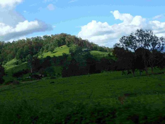 Nach den Regenfällen ist es unglaublich grün hier