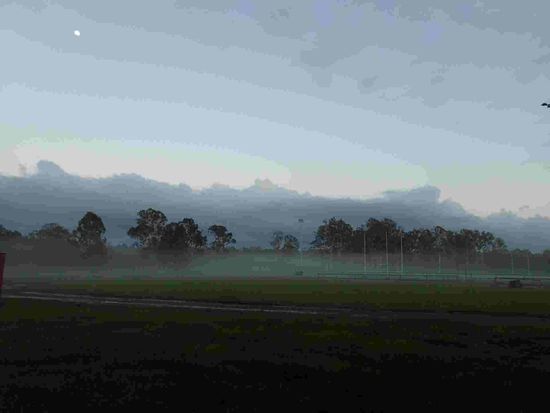 Morgennebel in Woodford