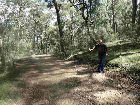 I wort auf a Taxi owa es kummt net, kummt net