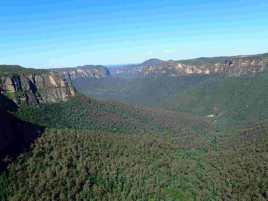 Blick ins Tal der Blue Mountains