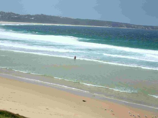 Arno allein in den hohen Wellen des kalten Wassers