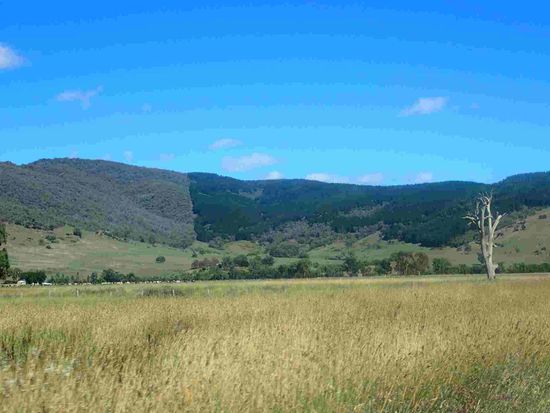 Das ist kein geschnittenes Foto