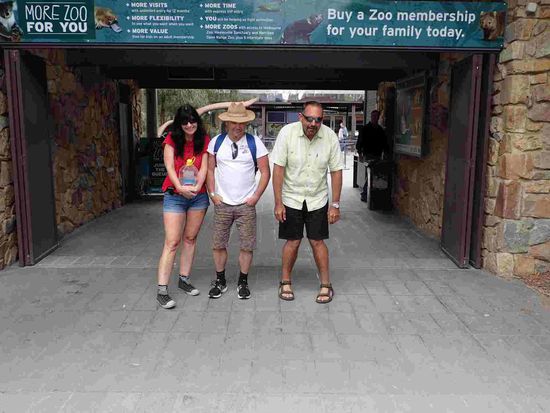 Die Afferl fehlen noch in diesem Zoo - oder jetzt doch nicht mehr