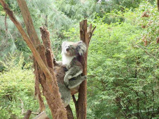 Da ist sogar einer wach