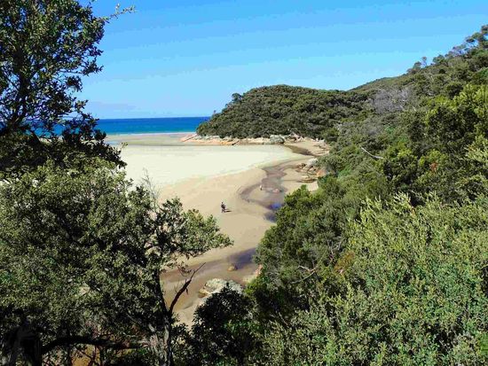 Blick von oben auf den Fluss