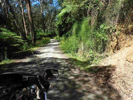 Das ist ja wirklich nur mehr ein Wanderweg 
